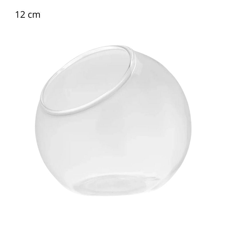 Terrarium En Verre En Forme Boule Transparente Décorative