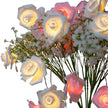 Guirlandes pour Anniversaire Roses Lumineuses LED