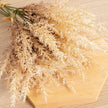 Fleur Artificielle Beige Avec Tiges Séchées Pour Décor Rustique