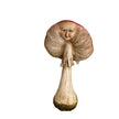 Sculpture Visage Décorative En Forme De Champignon Artistique
