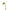 Vase Transparent en Verre avec Support en Bois