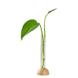 Vase Transparent en Verre avec Support en Bois