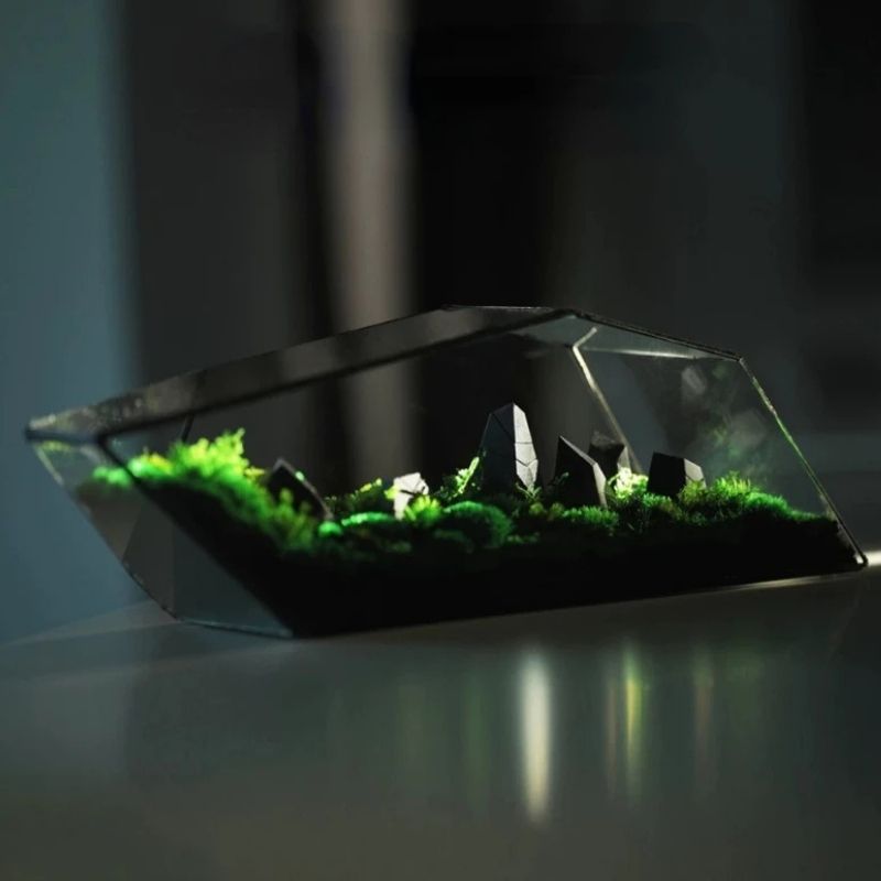 Terrarium En Verre Géométrique Allongé