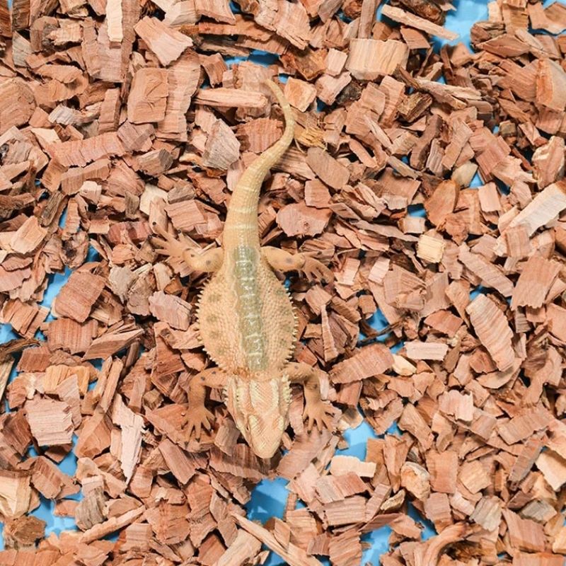 Substrat Terrarium En Copeaux De Bois Naturels