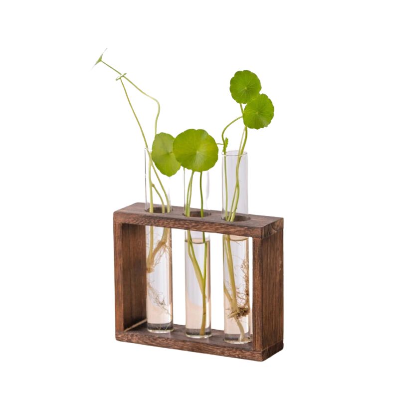 Vase avec Cadre en Bois pour Plantes Hydroponiques