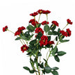 Fleur Artificielle Rouge en Branches De Roses