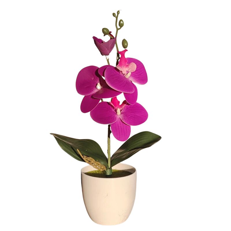 Vase avec Fleur Bonsaï Orchidée Artificielle