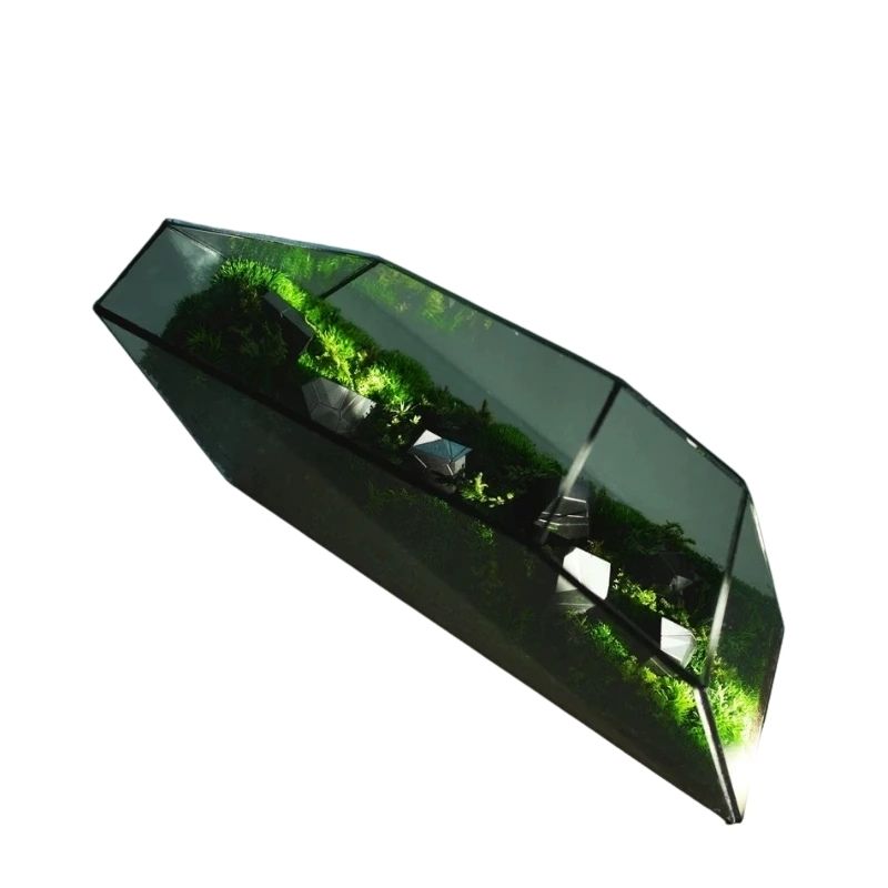 Terrarium En Verre Géométrique Allongé