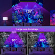 Éclairage Festif Projecteur UV LED Puissant