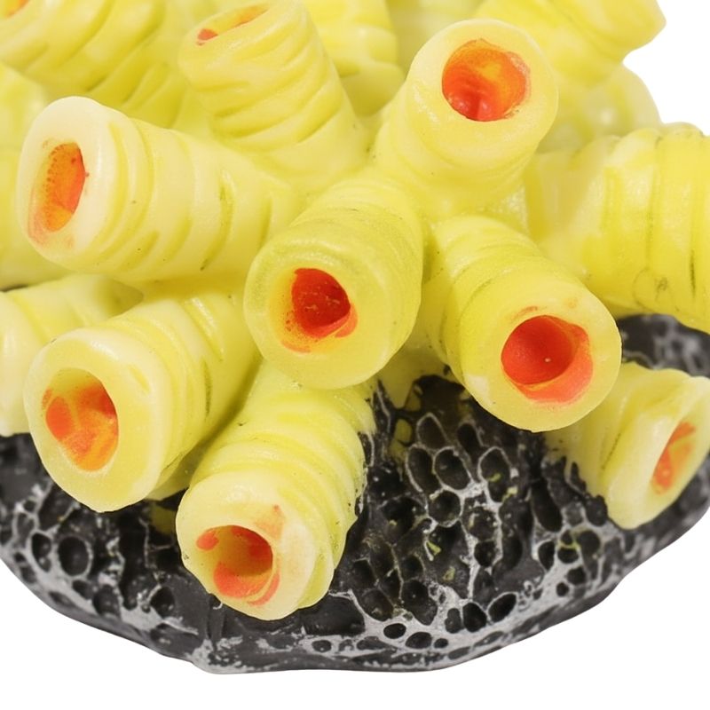 Décoration Terrarium Avec Structure Tubulaire