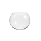 Vase Boule en Verre pour Micro Paysage et Hydroponie