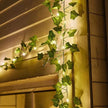 Guirlandes d’Intérieur Lierre LED Feuilles Lumineuses