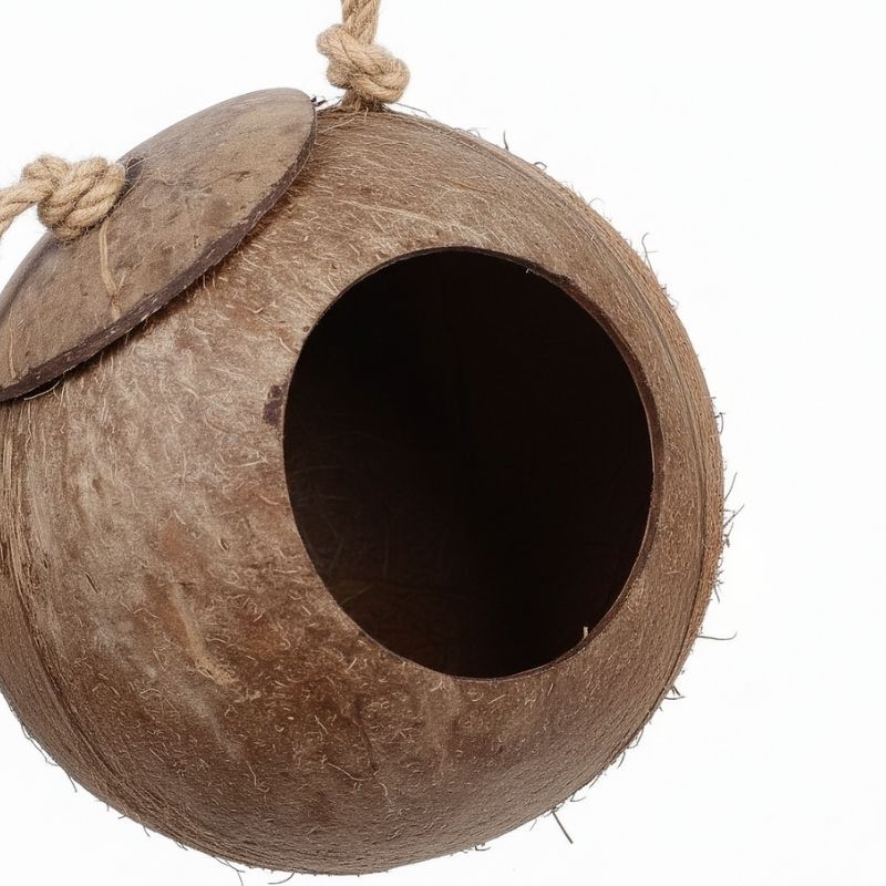 Décoration Terrarium Avec Cabane Coco Et Échelle En Bois