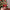 Décorations de Noël Sucette Arc-en-Ciel