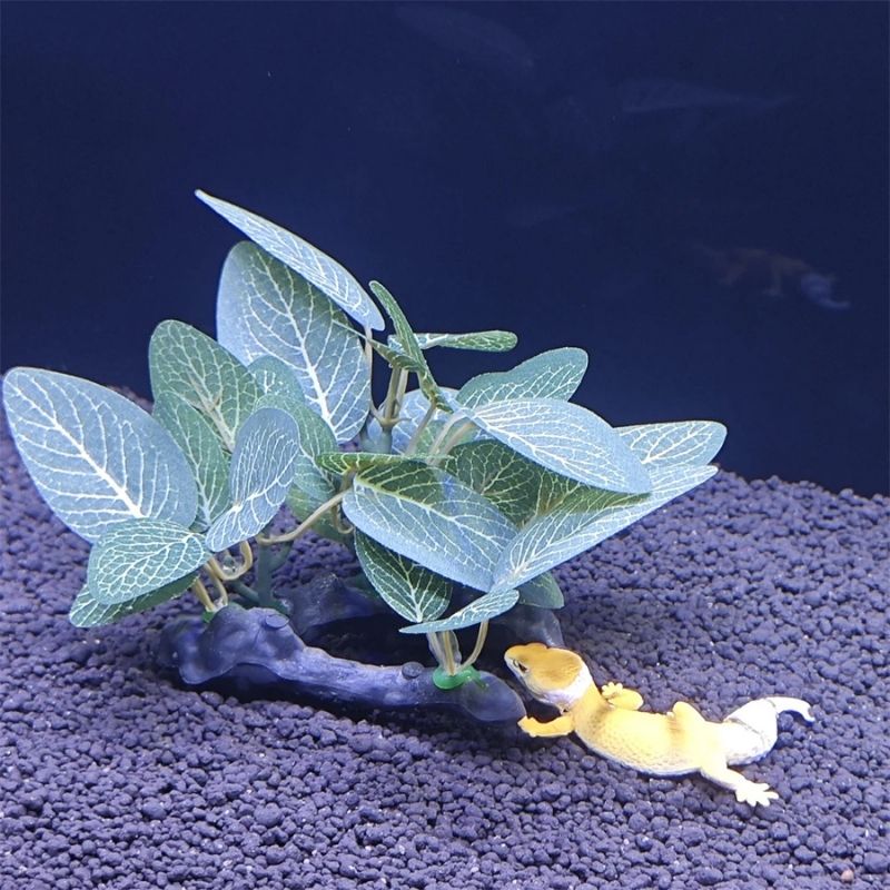 Plante Pour Terrarium Avec Feuillage Réaliste