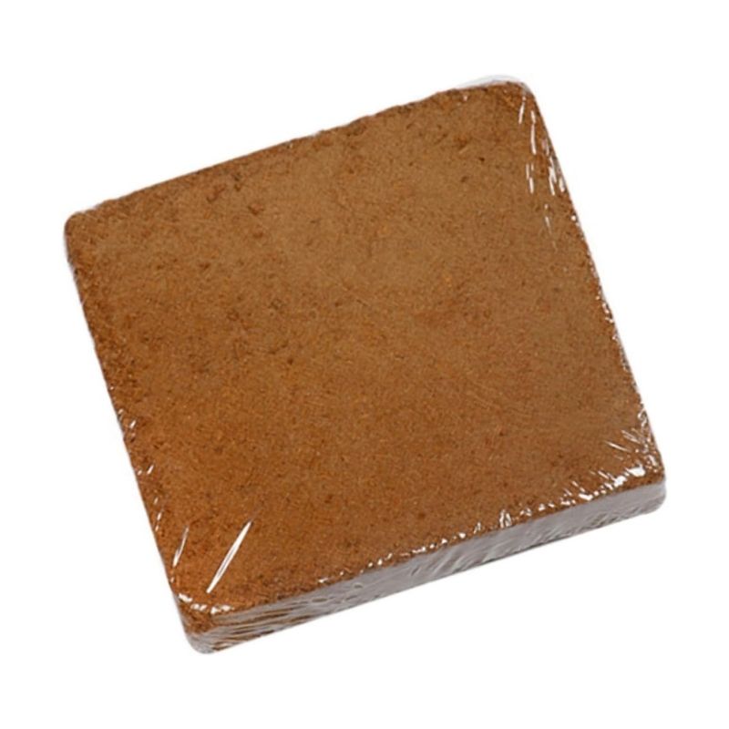 Substrat Terrarium En Fibre De Coco Naturelle