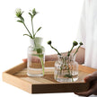 Vase Transparent en Verre de Style Nordique