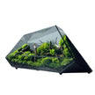 Terrarium En Verre Géométrique Avec Structure Facettée Moderne