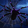 Décorations Halloween Araignée Lumineuse