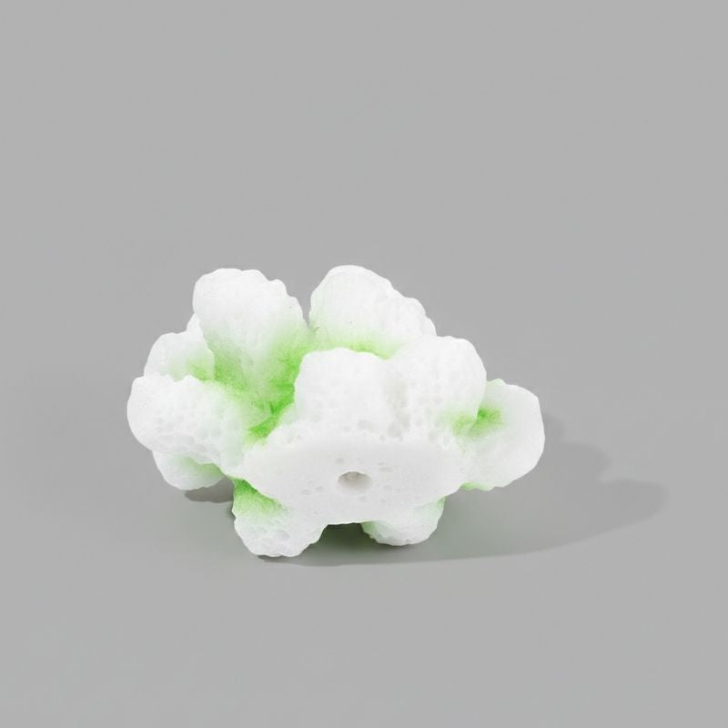 Décoration Terrarium En Ornement Corallien Blanc
