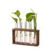 Vase avec Cadre en Bois pour Plantes Hydroponiques