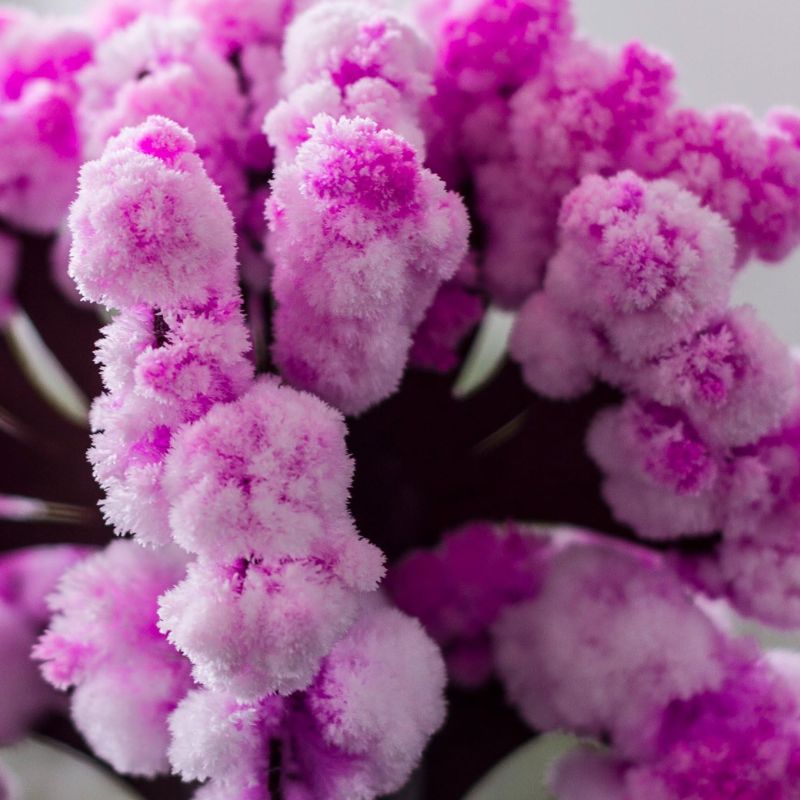 Mini Arbre Sakura Magique en Papier