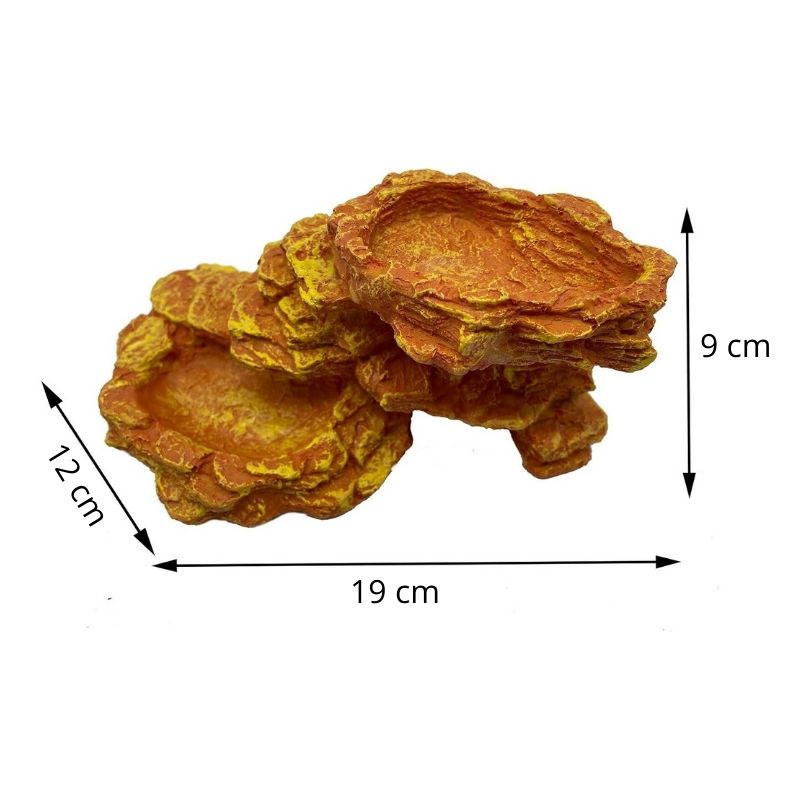 Décoration Terrarium Avec Double Gamelle Effet Roche