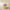 Fleurs Lumineuses LED Tulipes Sous Cloche