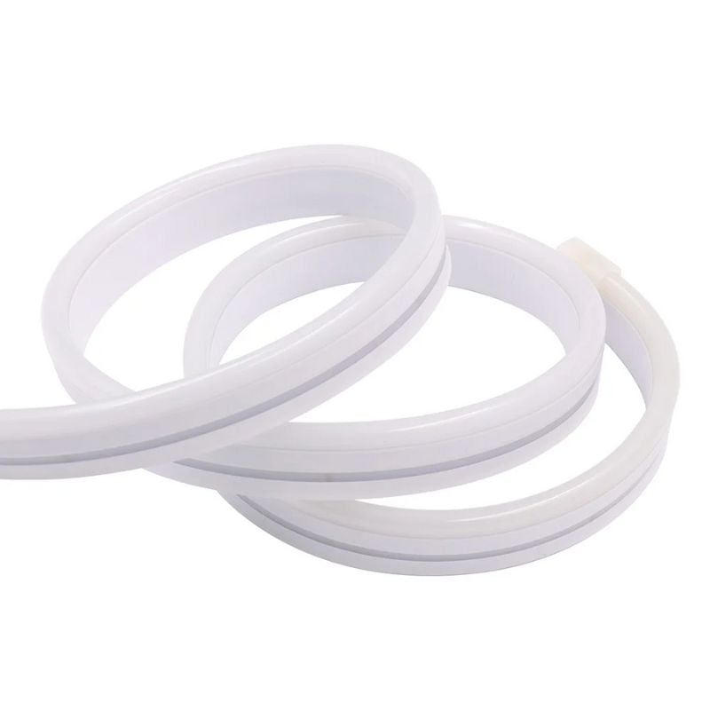 Guirlande LED Néon Multicolore Étanche