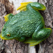 Sculpture Grenouille Décorative En Résine