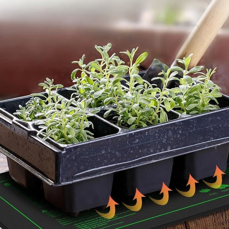 Tapis Chauffant Terrarium Avec Thermostat Numérique Réglable