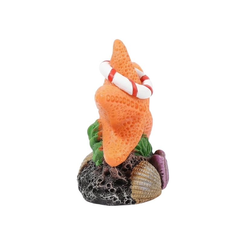 Décoration Terrarium En Étoile De Mer Avec Ornement Marin