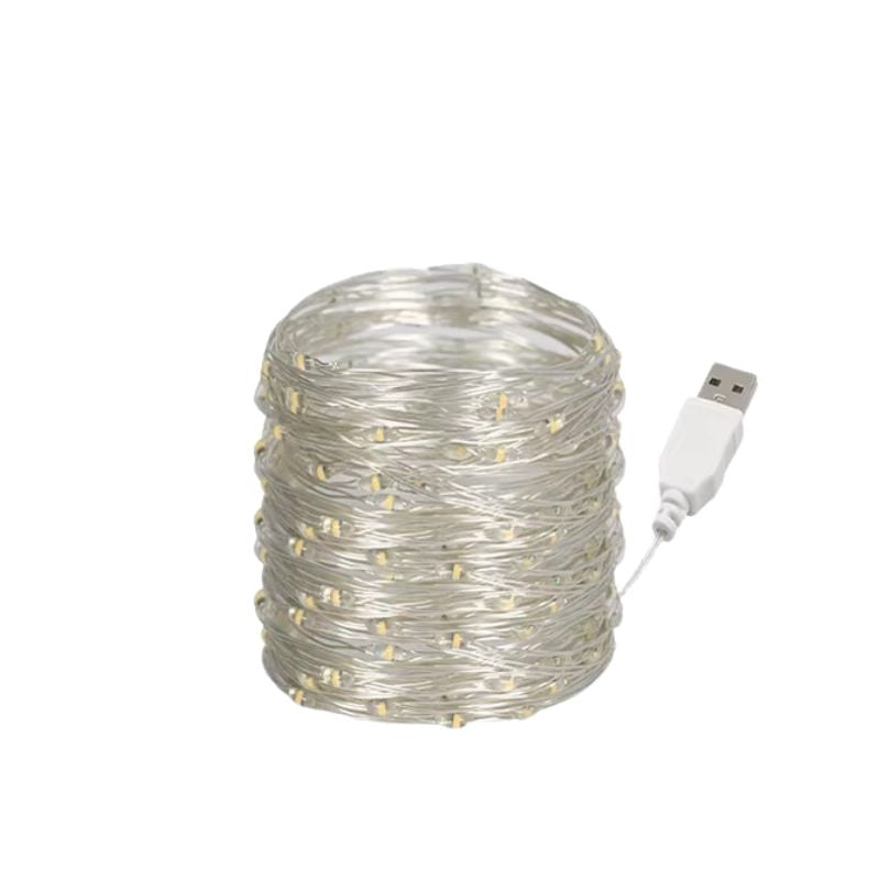 Guirlandes d’Intérieur LED avec Clips Photo