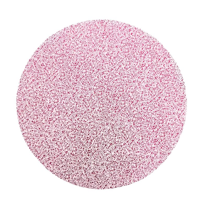 Set De Table En Papier Jetable Rond 30 Pièces