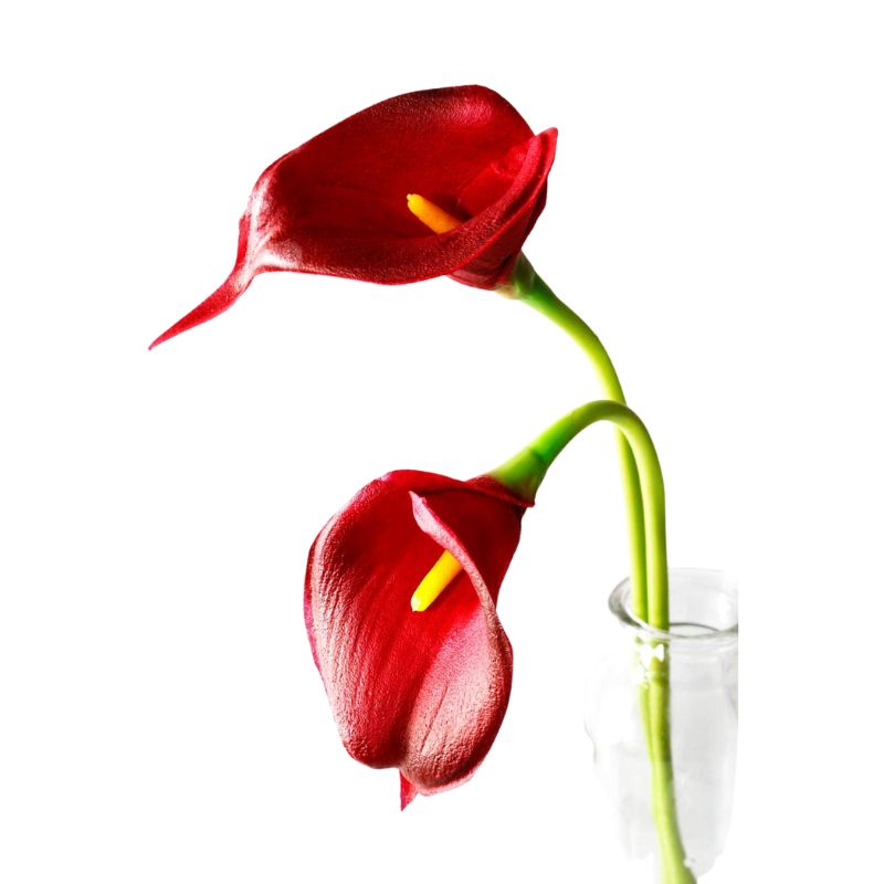 Fleur Artificielle Rouge En Bouquet De Callas