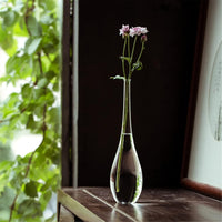 Vase en Verre Transparent Style Japonais pour Plantes