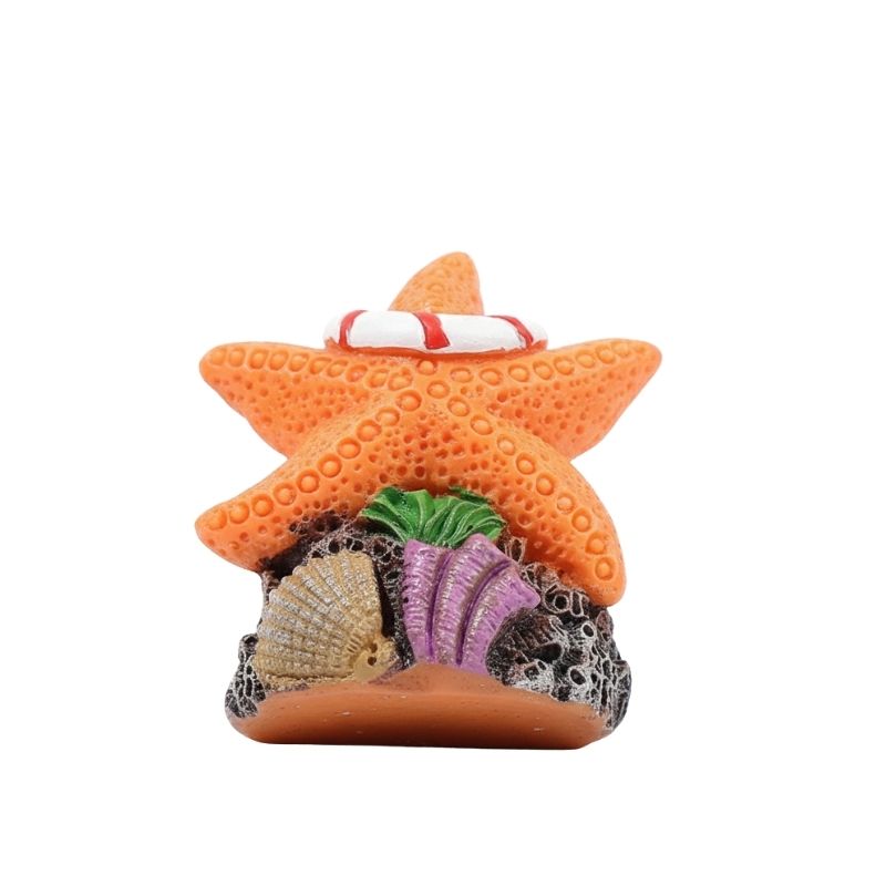 Décoration Terrarium En Étoile De Mer Avec Ornement Marin