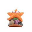 Décoration Terrarium En Étoile De Mer Avec Ornement Marin
