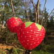 Lanternes Décoratives en Forme de Fraise