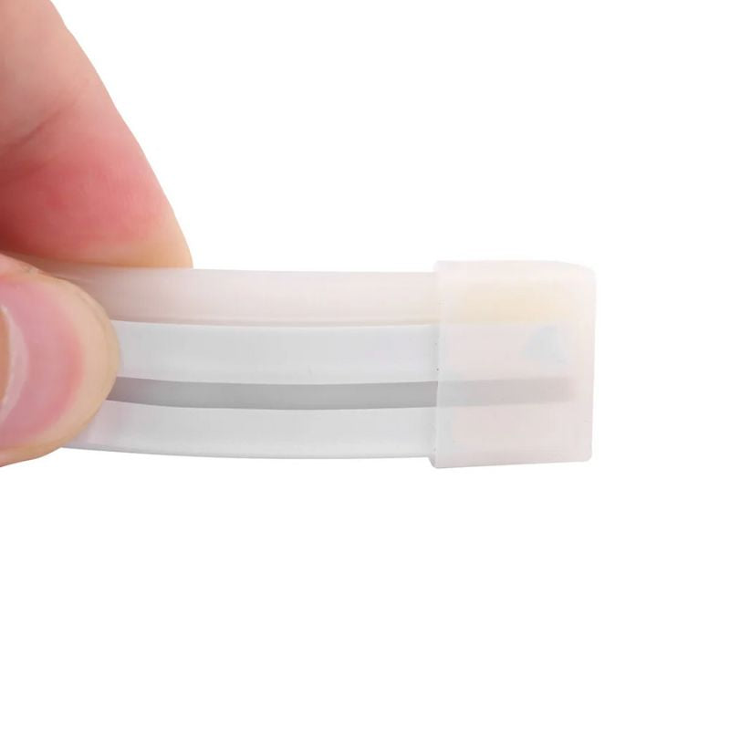 Guirlande LED Néon Multicolore Étanche