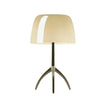 Lampe Champignon Design Brillant