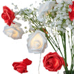 Guirlandes pour Anniversaire Roses Lumineuses LED