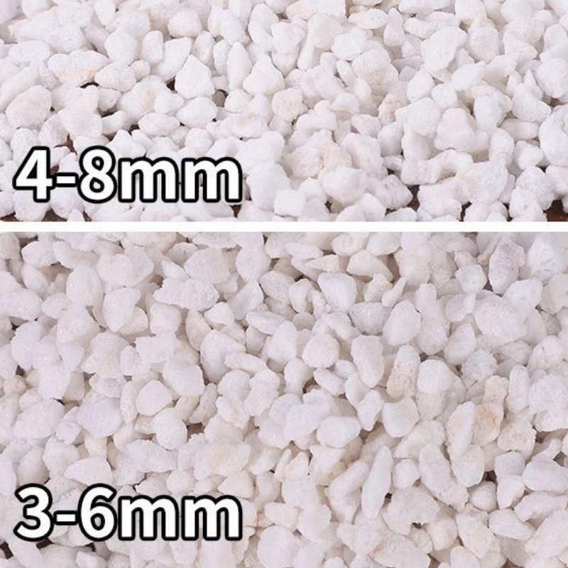 Substrat Terrarium En Perlite Naturelle