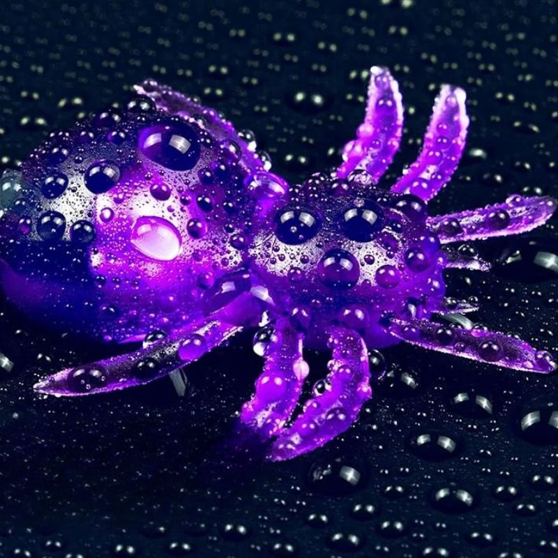 Guirlandes Solaires Araignées Lumineuses
