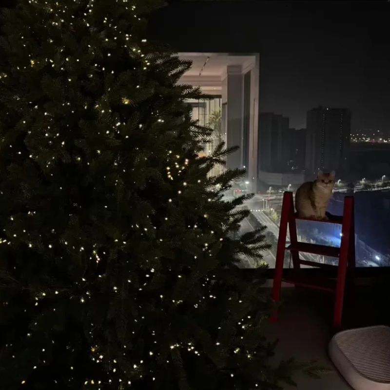 Guirlande De Noël Avec Minuterie Et Intensité Réglable