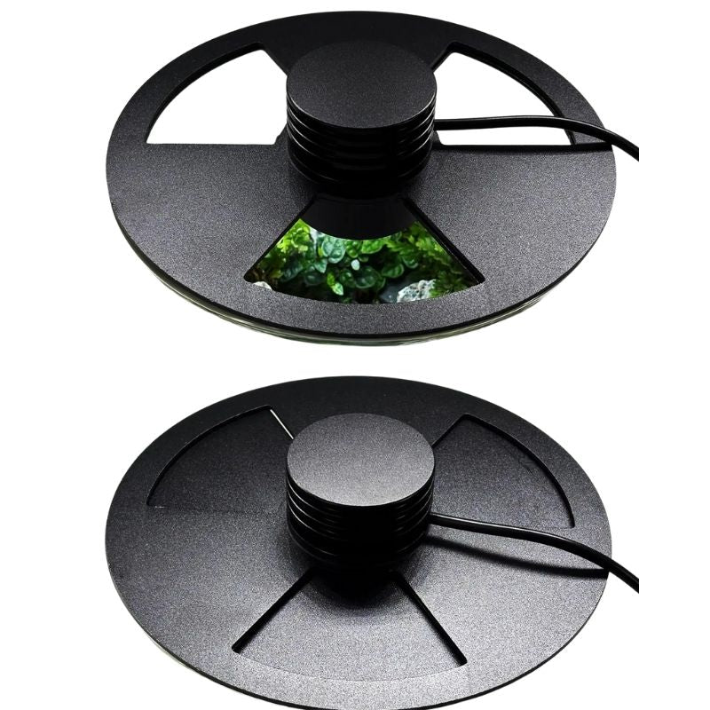 Terrarium En Verre Cylindrique