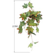 Plante Pour Terrarium En Liane Décorative