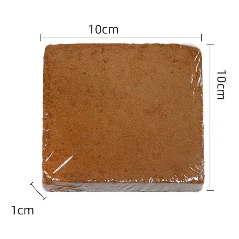 Substrat Terrarium En Fibre De Coco Naturelle