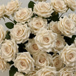 Fleur Artificielle Beige Avec Roses Ivoire
