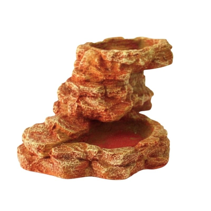 Décoration Terrarium Avec Double Gamelle Effet Roche